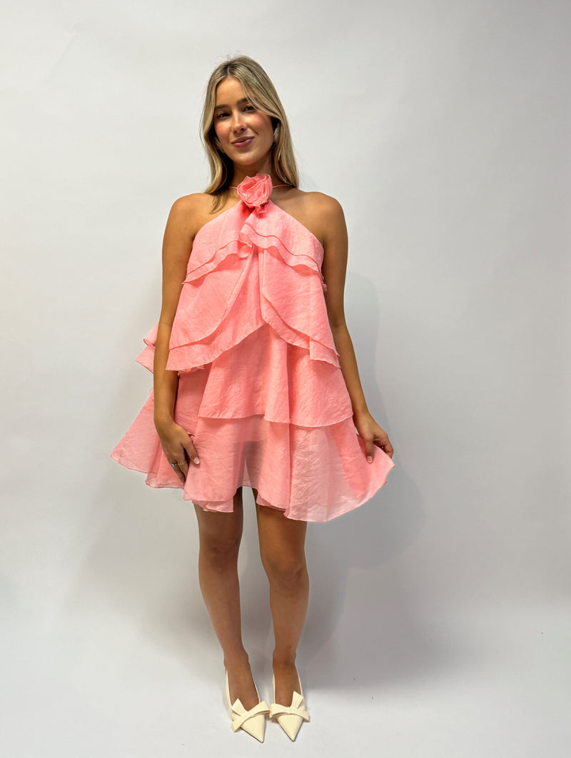 Rosetta Pink Ruffle Dress