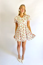 Wild Rose Mini Dress