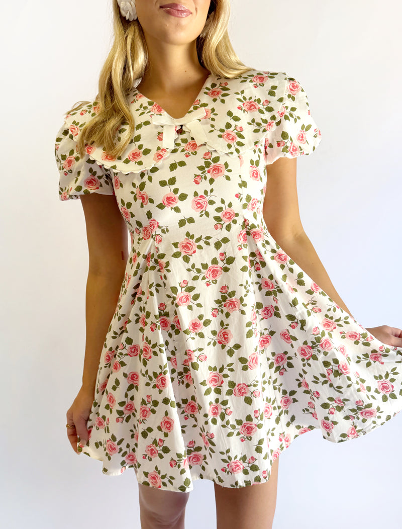 Wild Rose Mini Dress