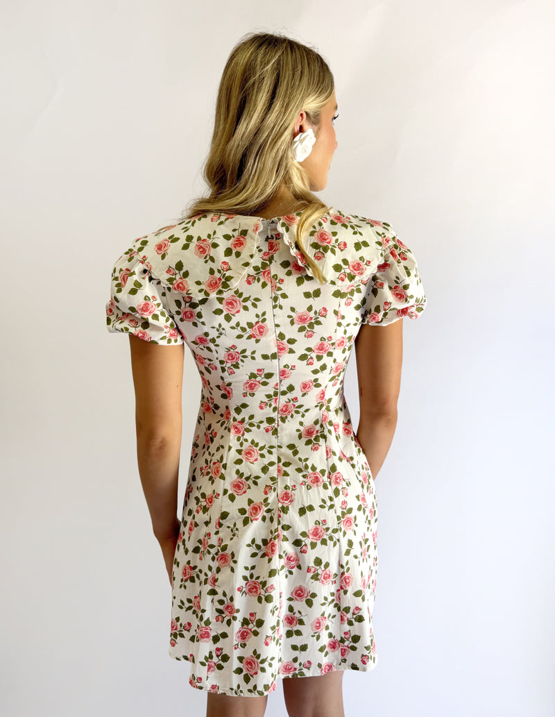 Wild Rose Mini Dress