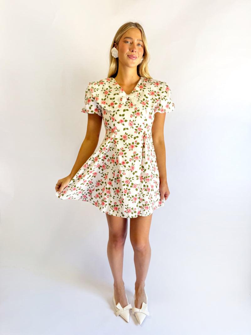 Wild Rose Mini Dress