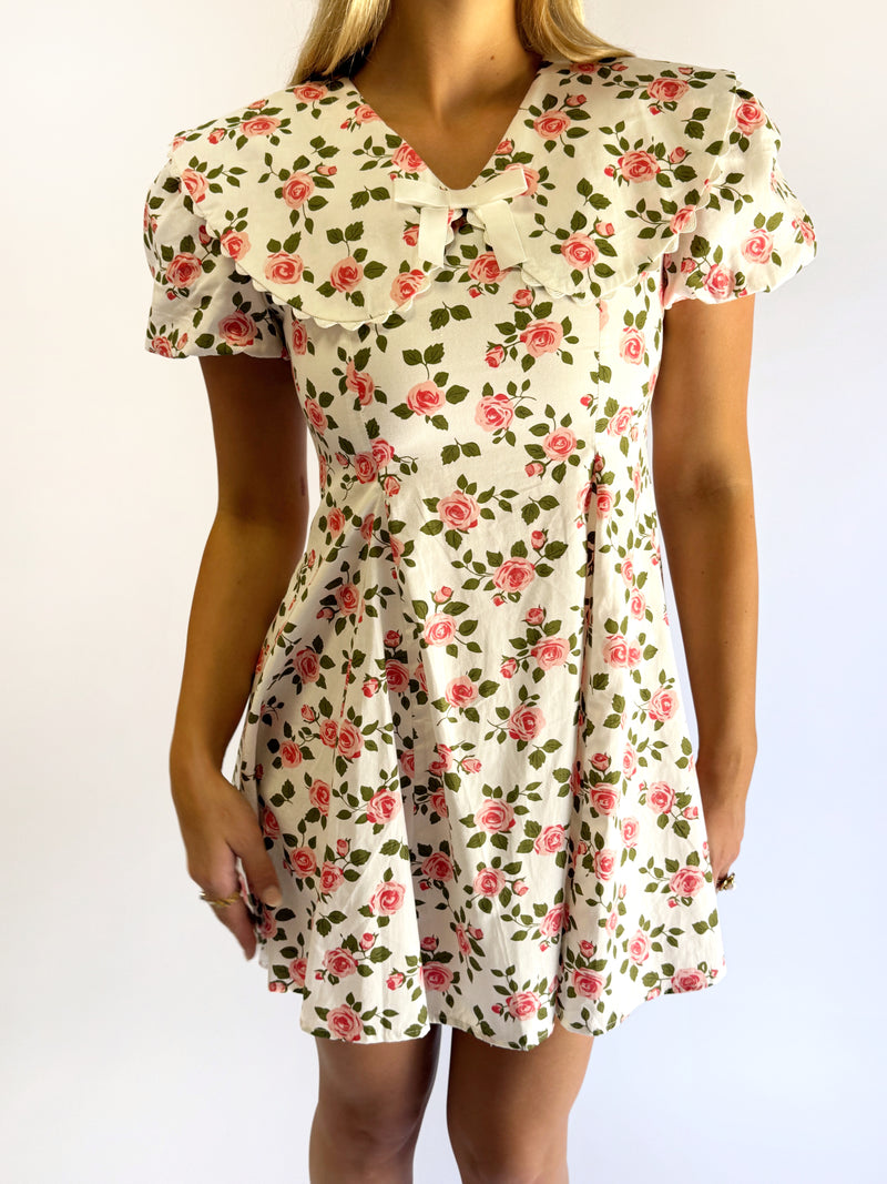 Wild Rose Mini Dress