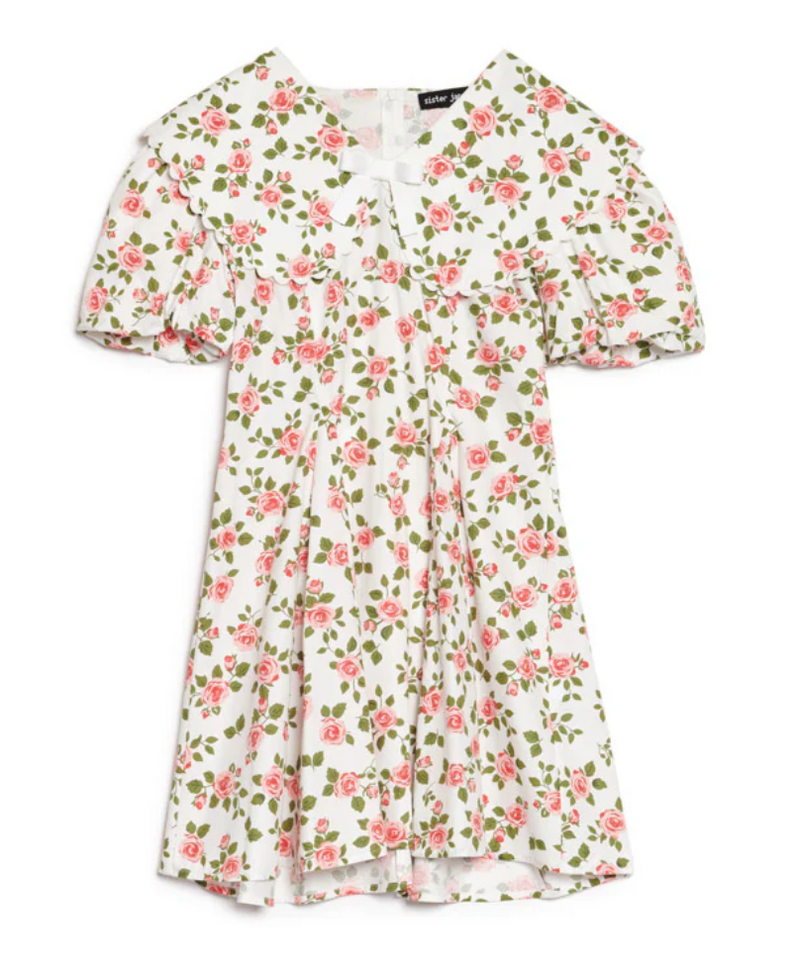 Wild Rose Mini Dress