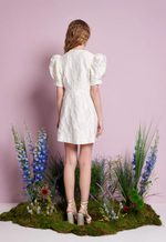 Anemone Jacquard Mini Dress