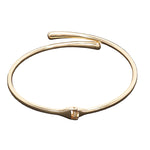 Golden Choker Necklace